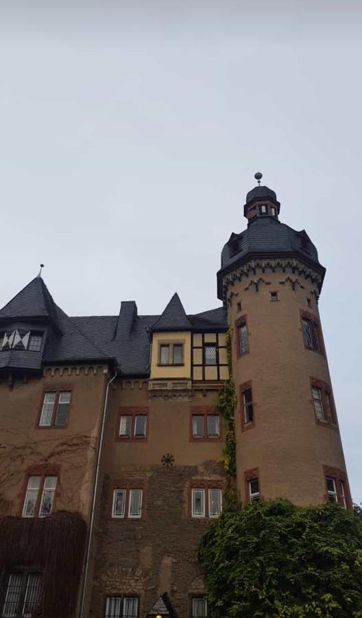 Ferienwohnung Am Geysirzentrum Андернах Экстерьер фото
