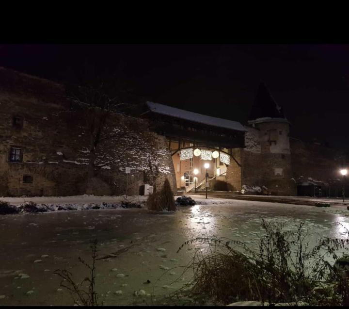 Ferienwohnung Am Geysirzentrum Андернах Экстерьер фото